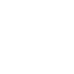 Prvus Services